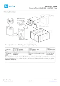 IN-S124ARYG Datasheet Page 10