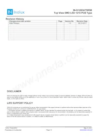 IN-S128DAT5R5B Datasheet Page 12