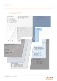 KP DELPS1.FP-UGVI-34-Z555-10-S 데이터 시트 페이지 19