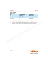 LY R971-HL-1 Datasheet Page 2