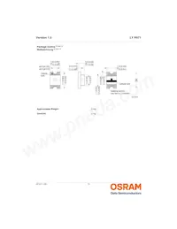 LY R971-HL-1 Datasheet Page 10