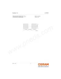 LY R971-HL-1 Datasheet Page 11