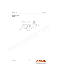 LY R971-HL-1 Datasheet Page 13