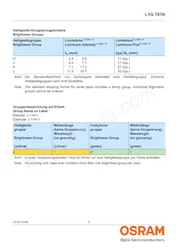 LYG T67K-JL-1+HK-1 Datasheet Page 5