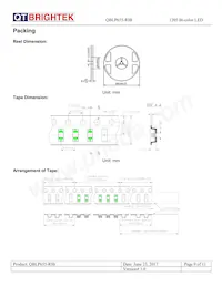 QBLP655-RIB Datasheet Pagina 9