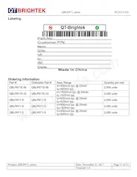 QBLP671E-IG Datasheet Page 11