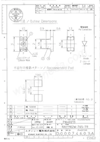 RAY1102W-745-TR Datasheet Cover