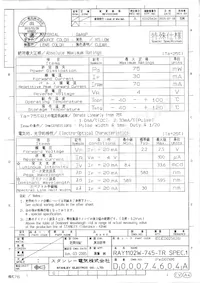 RAY1102W-745-TR Datasheet Page 2