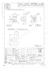 RAY1112H-75M-TR Datasheet Cover