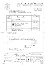 RAY1112H-75M-TR Datasheet Pagina 3