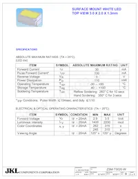 ZSM-T3020-W Datasheet Page 2