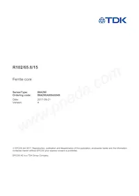 B64290A0084X049 Datasheet Cover