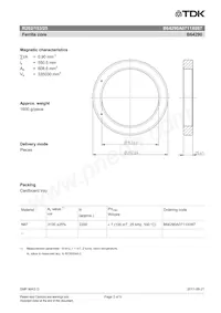 B64290A0711X087 Datasheet Page 2