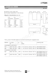 B67345B0010X027 Datasheet Page 2