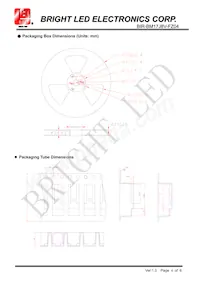 BIR-BM17J8V-FZ04 Datasheet Page 4