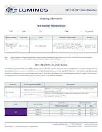 CBT-120-UV-C31-N400-22 Datasheet Pagina 3