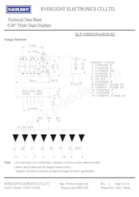 ELT-316SYGWA/S530-E2 Datasheet Page 2