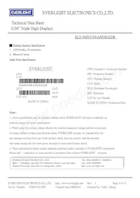 ELT-542SYGWA/S530-E2/R Datasheet Page 6