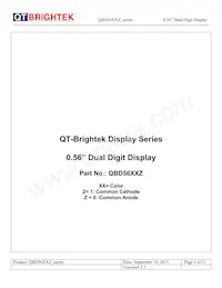 QBD56IB1 Datasheet Cover