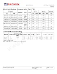 QBDS200R Datasheet Page 4