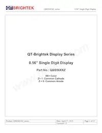 QBS56IG1 Datasheet Cover