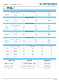 RM12/I-3C95-E250 Datasheet Pagina 2