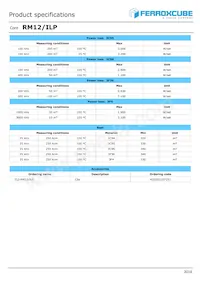 RM12/ILP-3F4-E250 Datasheet Page 2