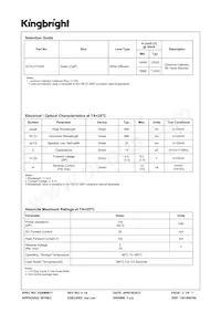 SC10-21GWA Datasheet Pagina 2
