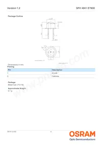 SFH 4841 E7800 Datenblatt Seite 6