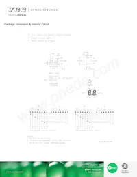 VAOD-C403S9-BW/45 Datasheet Pagina 3