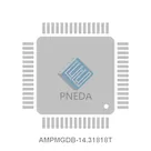 AMPMGDB-14.31818T