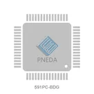 591PC-BDG