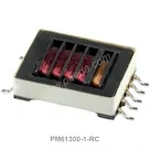 PM61300-1-RC