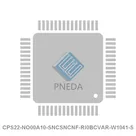 CPS22-NO00A10-SNCSNCNF-RI0BCVAR-W1041-S