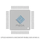 CPS22-NO00A10-SNCSNCNF-RI0BLVAR-W1063-S