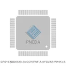 CPS19-NO00A10-SNCCWTWF-AI0YGVAR-W1013-S