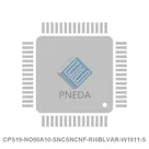 CPS19-NO00A10-SNCSNCNF-RI0BLVAR-W1011-S