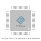 CPS19-NO00A10-SNCSNCNF-RI0CEVAR-W1060-S