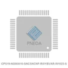 CPS19-NO00A10-SNCSNCNF-RI0YBVAR-W1023-S