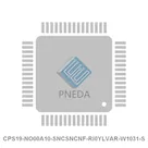 CPS19-NO00A10-SNCSNCNF-RI0YLVAR-W1031-S