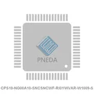 CPS19-NO00A10-SNCSNCWF-RI0YWVAR-W1009-S