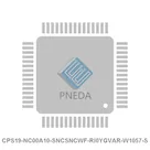 CPS19-NC00A10-SNCSNCWF-RI0YGVAR-W1057-S