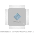 CPS19-NC00A10-SNCCWTNF-AI0WYVAR-W1003-S