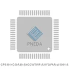 CPS19-NC00A10-SNCCWTWF-AI0YGVAR-W1001-S