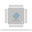 CPS19-NC00A10-SNCSNCNF-RI0BLVAR-W1012-S