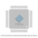 CPS19-NC00A10-SNCSNCNF-RI0BLVAR-W1028-S