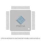 CPS19-NC00A10-SNCSNCNF-RI0BLVAR-W1029-S