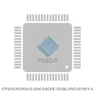 CPS19-NC00A10-SNCSNCNF-RI0BLVAR-W1051-S
