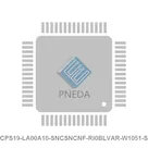CPS19-LA00A10-SNCSNCNF-RI0BLVAR-W1051-S