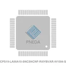 CPS19-LA00A10-SNCSNCNF-RI0YBVAR-W1004-S